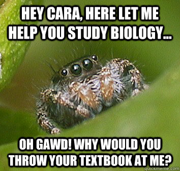 hey cara here let me help you study biology oh gawd why - Misunderstood Spider
