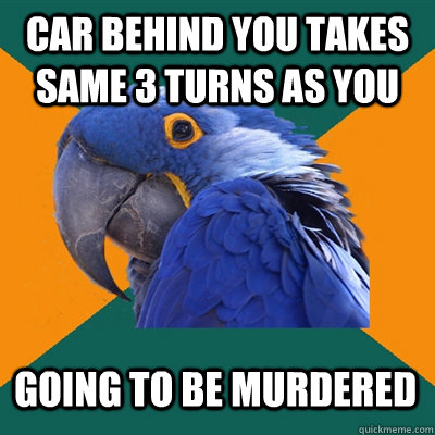 car behind you takes same 3 turns as you going to be murdere - Paranoid Parrot