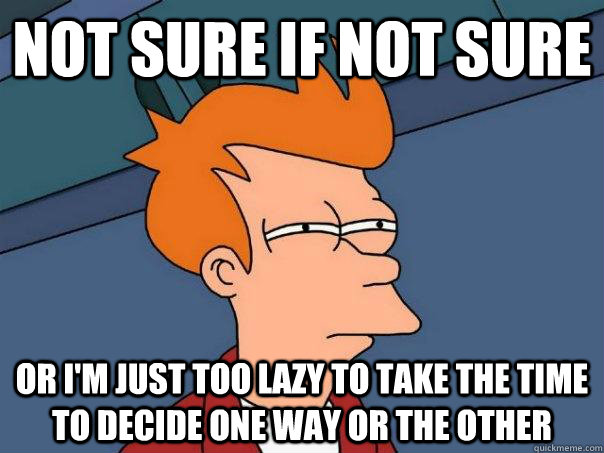 not sure if not sure or im just too lazy to take the time t - Futurama Fry