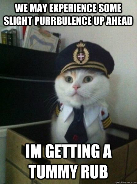 we may experience some slight purrbulence up ahead im gettin - Captain kitteh
