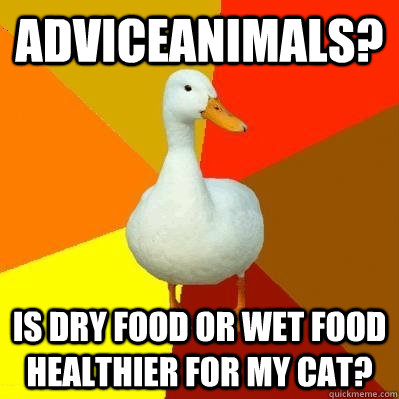 adviceanimals is dry food or wet food healthier for my cat - Tech Impaired Duck