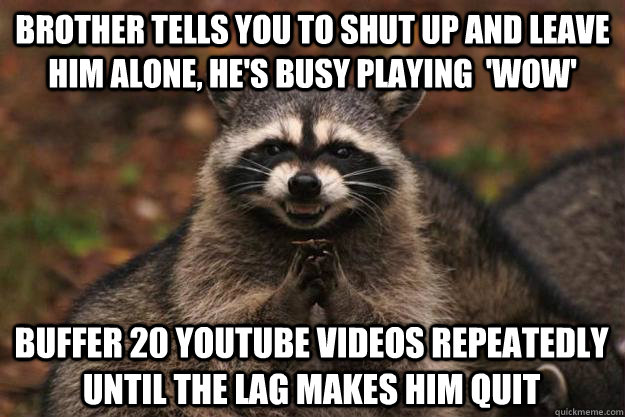 brother tells you to shut up and leave him alone hes busy - Evil Plotting Raccoon