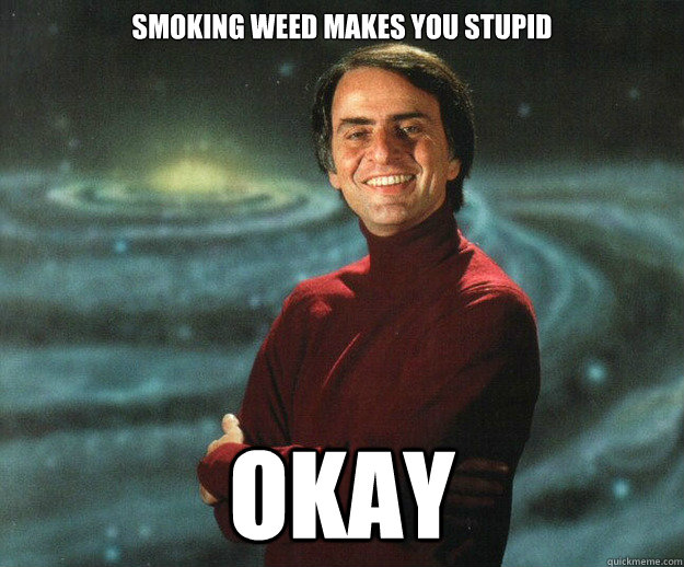 smoking weed makes you stupid okay -