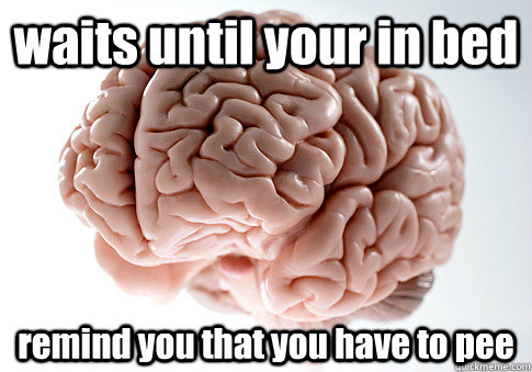waits until your in bed remind you that you have to pee  - Scumbag Brain