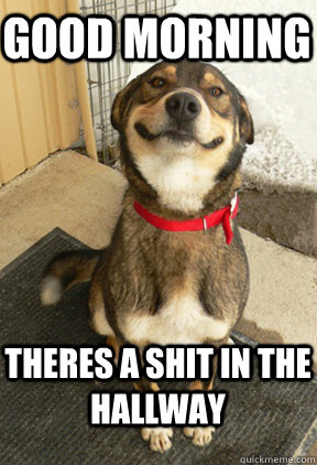 good morning theres a shit in the hallway - Good Dog Greg