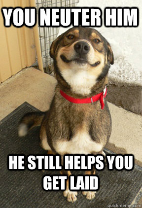 you neuter him he still helps you get laid - Good Dog Greg