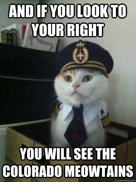 and if you look to your right you will see the colorado meow - Captain kitteh