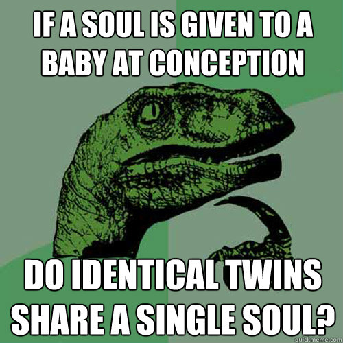 if a soul is given to a baby at conception do identical twin - Philosoraptor