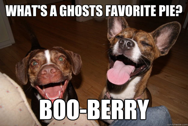 whats a ghosts favorite pie booberry - Clean Joke Puppies