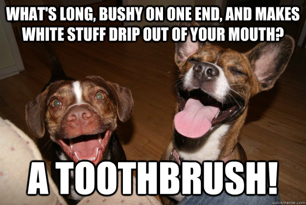 whats long bushy on one end and makes white stuff drip ou - Clean Joke Puppies