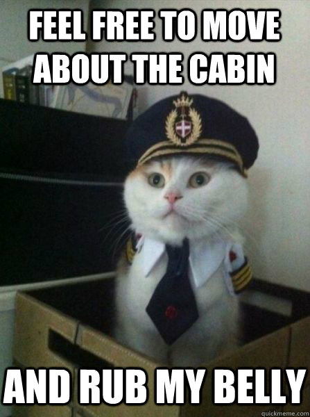 feel free to move about the cabin and rub my belly - Captain kitteh