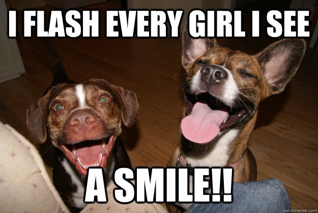 i flash every girl i see a smile - Clean Joke Puppies