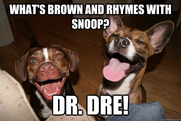 whats brown and rhymes with snoop dr dre - Clean Joke Puppies