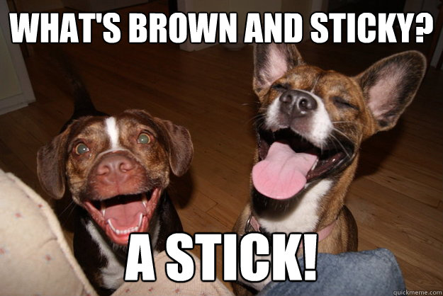 whats brown and sticky a stick - Clean Joke Puppies