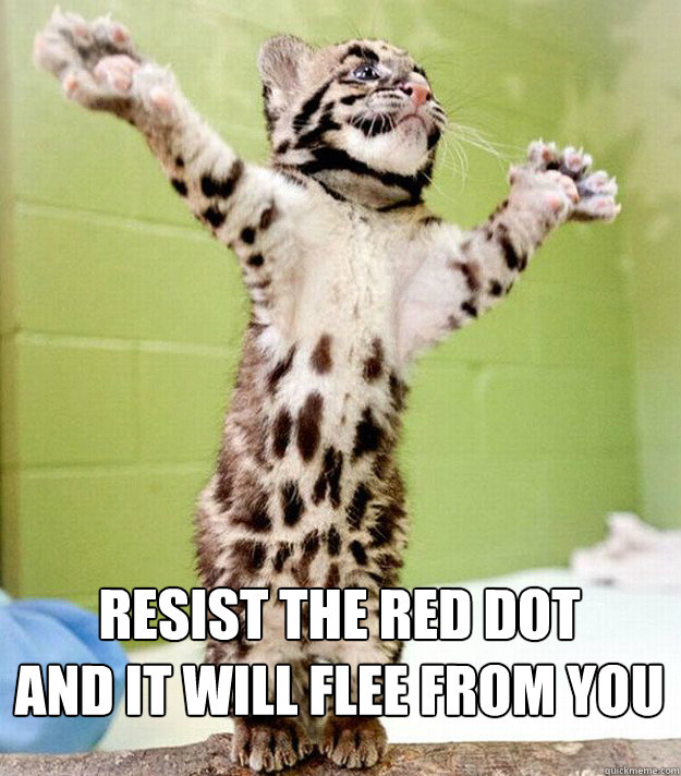 resist the red dot and it will flee from you - PastorCat