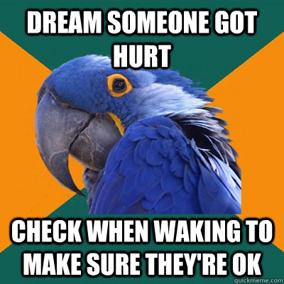 dream someone got hurt check when waking to make sure theyr - Paranoid Parrot
