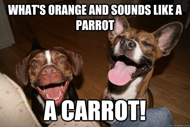 whats orange and sounds like a parrot a carrot - Clean Joke Puppies