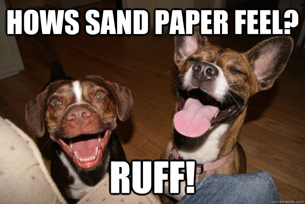 hows sand paper feel ruff - Clean Joke Puppies