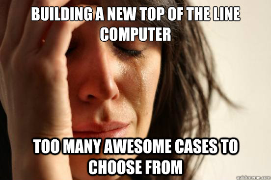building a new top of the line computer too many awesome cas - First World Problems