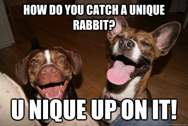 how do you catch a unique rabbit u nique up on it - Clean Joke Puppies