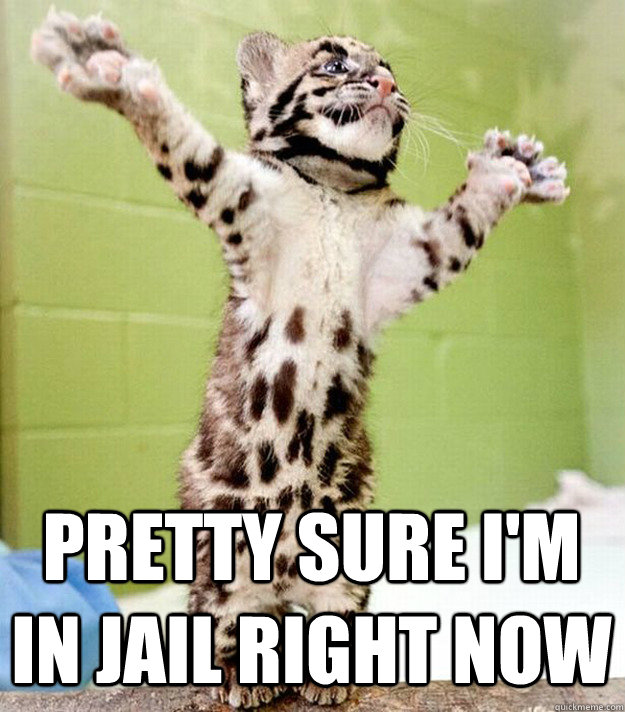 pretty sure im in jail right now - PastorCat