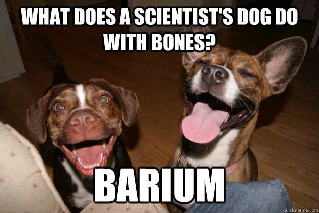 what does a scientists dog do with bones barium - Clean Joke Puppies