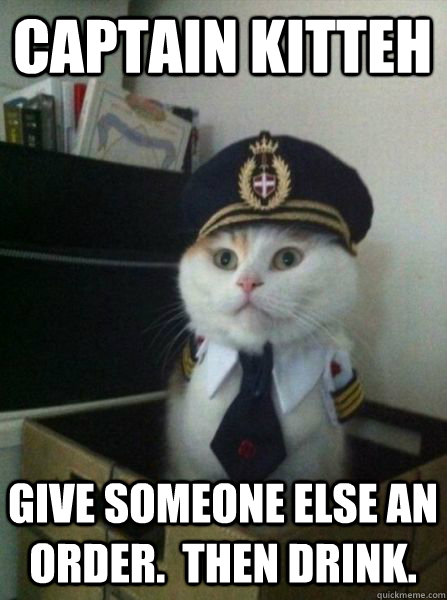 captain kitteh give someone else an order then drink - Captain kitteh