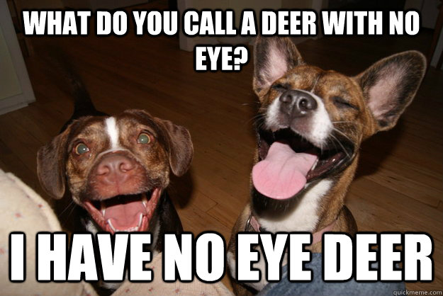 what do you call a deer with no eye i have no eye deer - Clean Joke Puppies