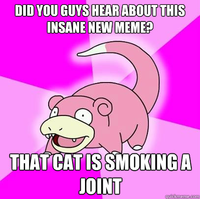 did you guys hear about this insane new meme that cat is sm - Slowpoke