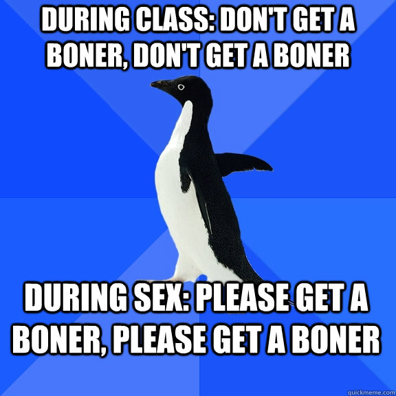 during class dont get a boner dont get a boner during se - Socially Awkward Penguin