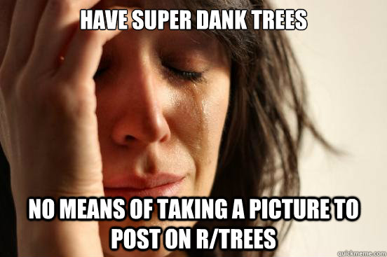 Dank Trees