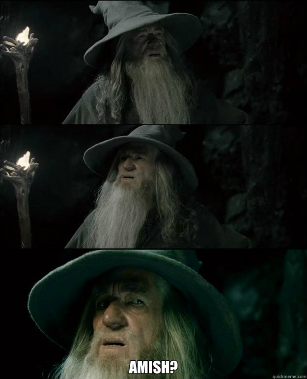 amish - Gandalf und das Spanischstudium