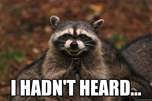 i hadnt heard - Evil Plotting Raccoon
