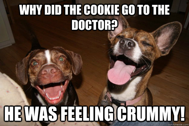 why did the cookie go to the doctor he was feeling crummy - Clean Joke Puppies