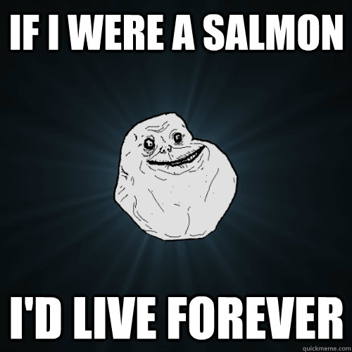 if i were a salmon id live forever - Forever Alone