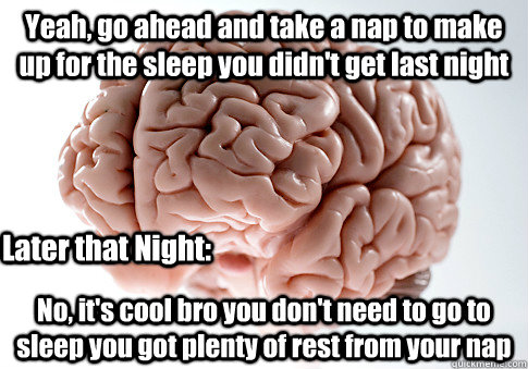 yeah go ahead and take a nap to make up for the sleep you d - Scumbag Brain