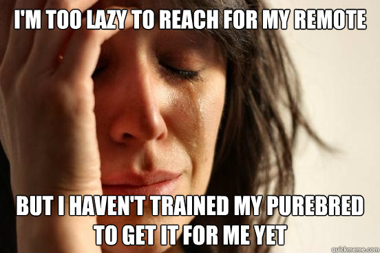 im too lazy to reach for my remote but i havent trained my - First World Problems