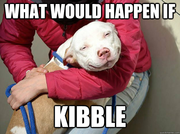 what would happen if kibble - 10 dog