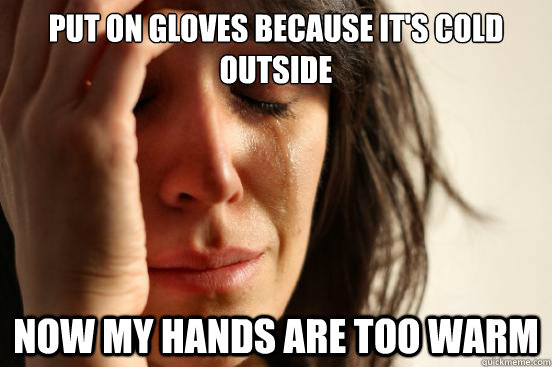 put on gloves because its cold outside now my hands are too - First World Problems