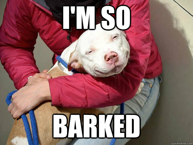 im so barked - 10 dog