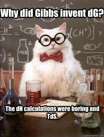 why did gibbs invent dg the dh calculations were boring and - Chemistry Cat