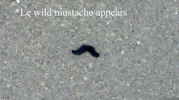 le wild mustache appears - mustache