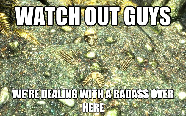 watch out guys were dealing with a badass over here - SkyrimBadass