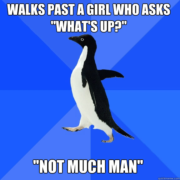 walks past a girl who asks whats up not much man - Socially Awkward Penguin