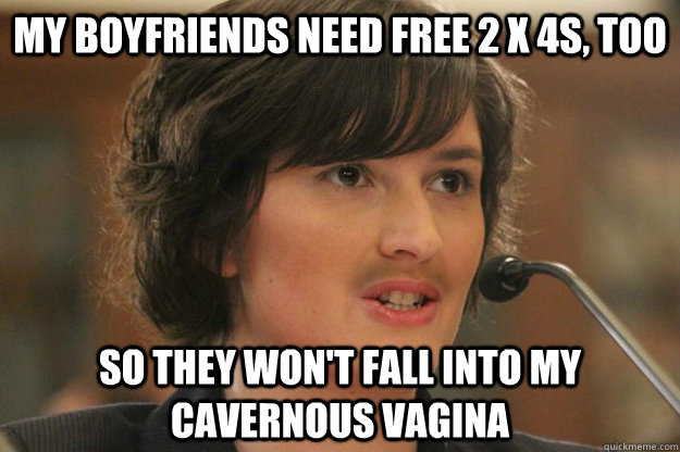 my boyfriends need free 2 x 4s too so they wont fall into - Slut Sandra Fluke
