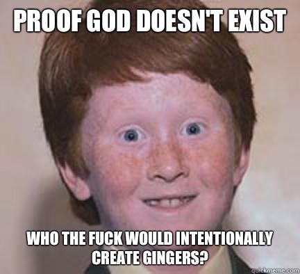 Proof god doesnt exist Who the fuck would intentionally crea - Over Confident Ginger
