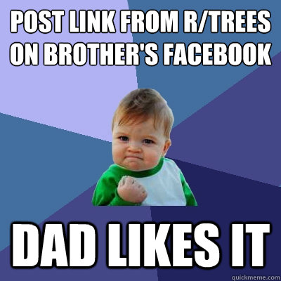 post link from rtrees on brothers facebook dad likes it - Success Kid
