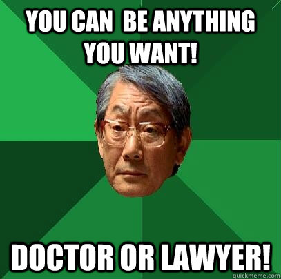you can be anything you want doctor or lawyer - High Expectations Asian Father