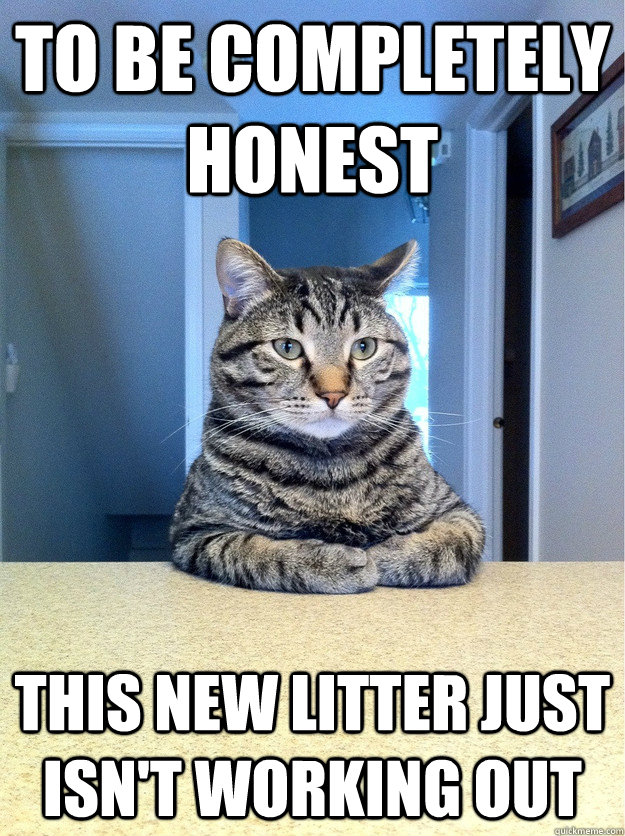 to be completely honest this new litter just isnt working o - Conversation Cat