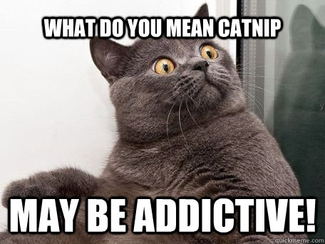 what do you mean catnip may be addictive - conspiracy cat